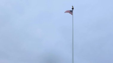 Amerika Birleşik Devletleri 'nde dalgalanan Amerikan bayrağı bağımsızlığı gösteriyor. Ulusal vatanseverlik. Yüksek kalite 4k görüntü
