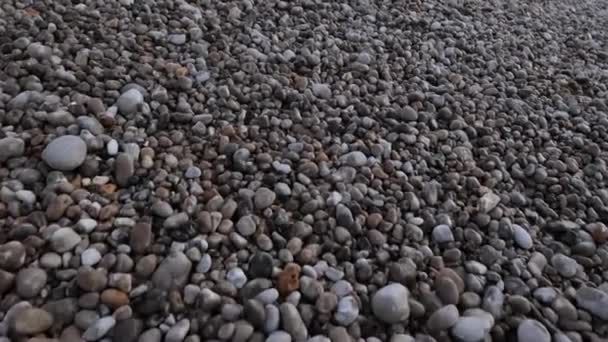 Крупним Планом Блискучі Камінці Пляжі Під Час Заходу Сонця Крупним — стокове відео