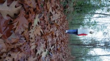 Dikey video, gündelik giysiler içinde mutlu bir kız ormanda yürüyor, elleri ağaçların sarı yapraklarını tutuyor ve kusuyor, arkasını dönüyor. Yüksek kalite 4k görüntü