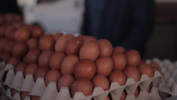 Αυγά Κότας Τοποθετημένα Χαρτόκουτους Δίσκους Ράφι Καταστήματος Καφέ Αυγά Δίσκους — Αρχείο Βίντεο