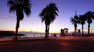 Palmiye ağaçlarının siluetleri güzel gece gökyüzüne karşı. Rüzgarda sallanan palmiye ağaçları. Gün batımında tropikal manzara. Yüksek kalite 4k görüntü