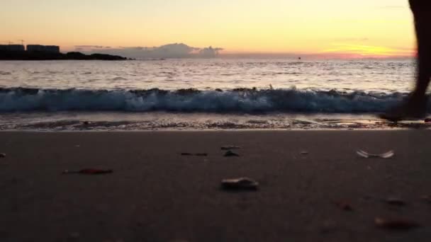 비치와 클로즈업에 바다에 스플래시 고품질 — 비디오