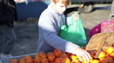 Genç bir çocuk elinde bir market poşeti tutuyor ve içine portakal koyuyor. Bir çocuk da açık pazarda portakal seçiyor. Yüksek kalite 4k görüntü