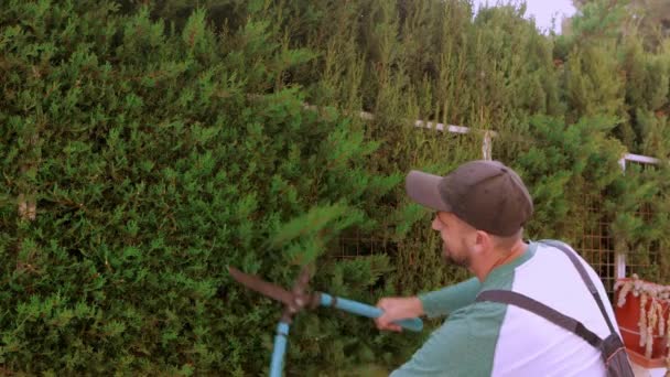 Close Male Expert Gardener Pruning Small Bush Loppers Home Lawn — Stock Video