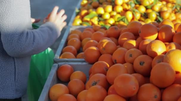 Dospívající Chlapec Drží Ruce Sáček Potravinami Dává Něj Pomeranče Chlapec — Stock video