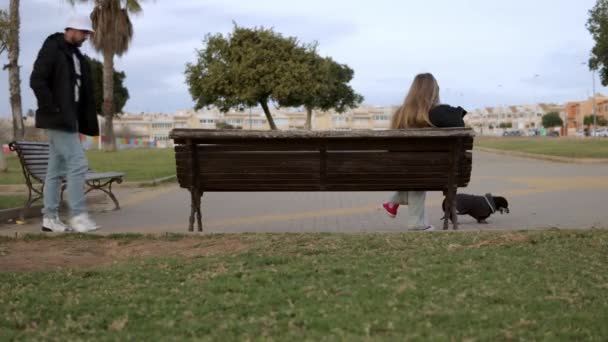 Two People Sit Bench Enjoy Nature Back View Blooming Green — Stock Video