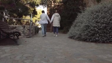 Genç pozitif bir çift el ele yürüyor, sonbahar parkında buluşuyorlar, kadın ve erkek birlikte vakit geçirmekten zevk alıyorlar. Sırtı kameraya dönük bir çift. Yüksek kalite 4k görüntü