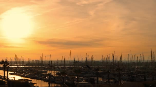 Parking Port Sunset Many Yachts Parked Port High Quality Footage — Stock Video