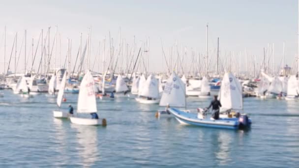 Dinghy Malé Plachetnice Regata Soutěž Větrném Moři Vodní Sport Tým — Stock video