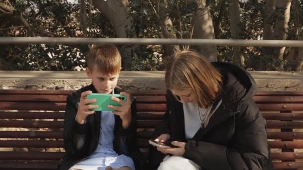 幸せな兄弟姉妹が 公園のベンチに座って 携帯電話を握り 子供たちは電話でゲームをしています 高品質の4K映像 — ストック動画