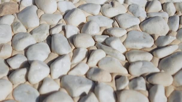 Beyaz Çakıl Taşları Büyük Oval Plaj Deniz Taşları Üst Görünüm — Stok video