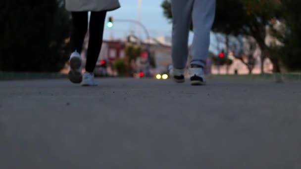 Ein Paar Männer Und Ein Mädchen Gehen Abends Die Straße — Stockvideo