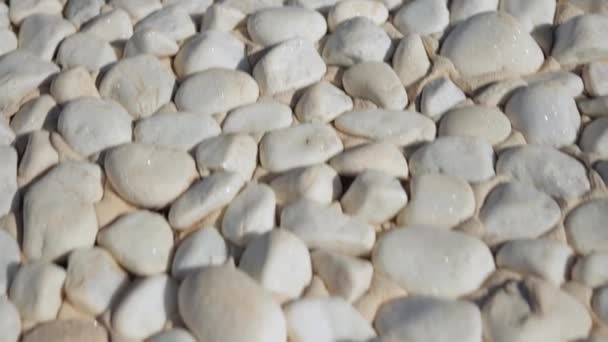 Біла Галька Великий Овальний Пляжний Морський Камінь Вид Зверху Обертання — стокове відео