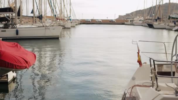 在大海的背景下坐在游艇上的橡皮船 高质量的4K镜头 — 图库视频影像