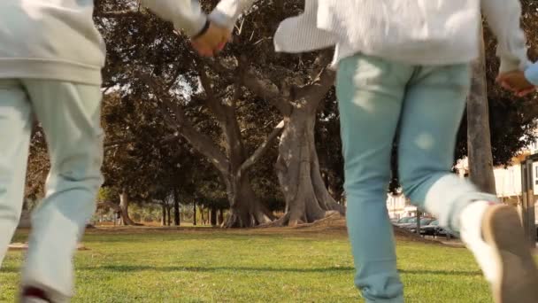 Ludzie Trzymający Się Ręce Biegają Zielonej Trawie Parku Aktywna Rodzina — Wideo stockowe