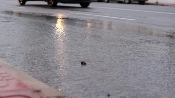 Samochód Jedzie Mokrą Drogą Deszczu Miasto Deszczu Jazda Samochodem Pochmurną — Wideo stockowe