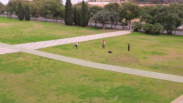 ヨーロッパの公園で 緑の草のスポーツをするティーンエイジャーです 高品質のフルHd映像 — ストック動画