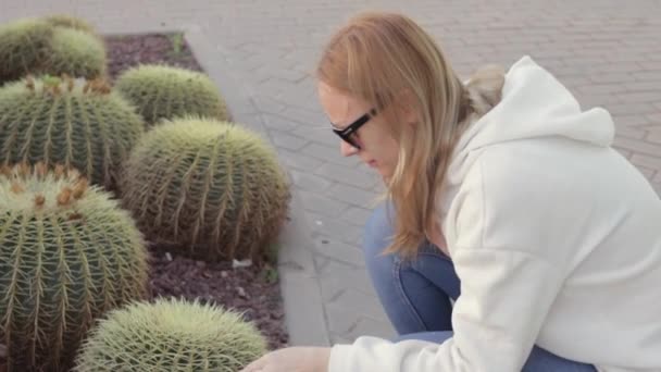 Una Ragazza Abiti Casual Occhiali Sole Tocca Delicatamente Cactus All — Video Stock