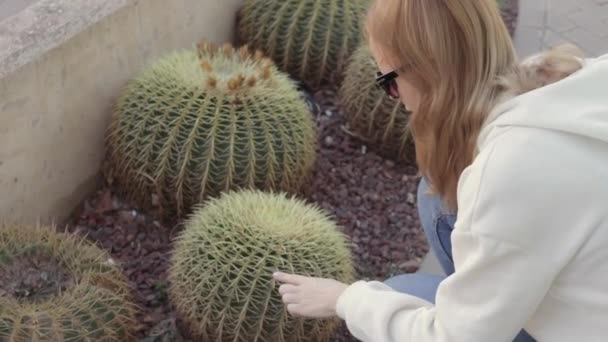 Dziewczyna Luźnych Ubraniach Okularach Dotyka Kaktusa Ulicy Ucieleśniając Koncepcję Bólu — Wideo stockowe