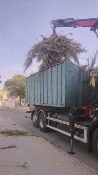 Załadunek Maszyny Ciężarówki Śmieciami Ulicy Wysokiej Jakości Zdjęcie — Wideo stockowe