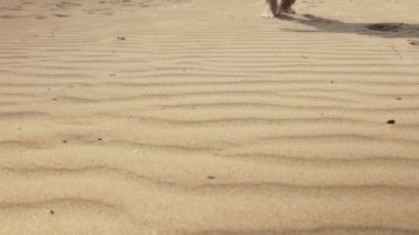 kum üzerinde metrelik bir plaj