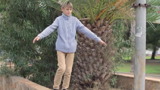 Nastoletni Chłopiec Spaceruje Parapetem Parku Otoczonym Zielonymi Palmami Kręcąc Zwolnionym — Wideo stockowe
