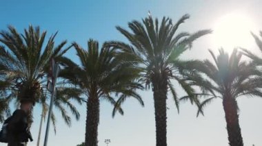 Palmiye ağaçlarıyla çevrili genç bir adam parkta yürüyor. Bir adam denize giden yolda yürüyor. Siyah elbiseli çekici bir çocuk yürüyüşe çıkar. Yüksek kalite 4k görüntü