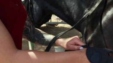 Atın eldivenleri ve eldivenleriyle kadın ellerine yaklaş..