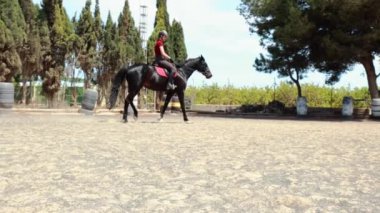 At binicisi iş başında