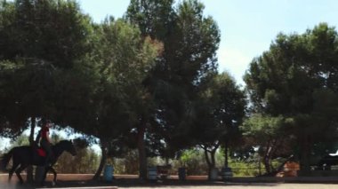 Parkta ata binen at
