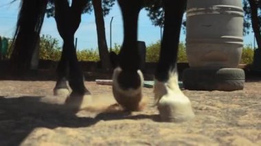 İsrail 'in kuzeyindeki antik ölüler tapınağı.