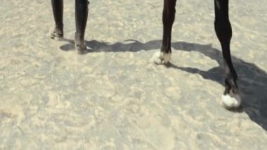 Genç bir kadın ata biniyor.