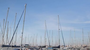 Limanda demirleme, yat klübü, okyanus ve güneşin doğduğu güzel bir manzaranın insansız hava aracı görüntüsü, limanda yelkenli yatlar, hava manzarası. Yüksek kalite 4k görüntü