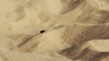 Çöldeki kum tepeleri