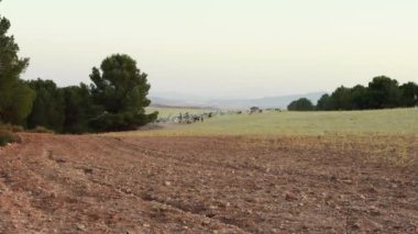 Kuzey İspanya 'nın kırsal kesiminde manzara