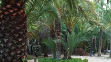 Şehrin güzel manzarası