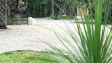 Barselona şehrindeki parkta.