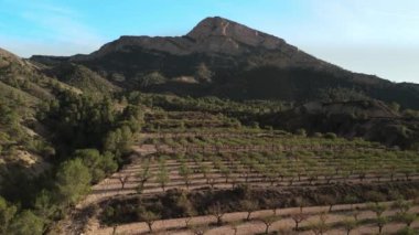 İspanya, Endülüs Dağları ve Dağ