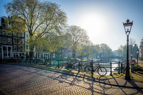 Mit Blumen Geschmückte Fahrräder Amsterdam Niederlande Amste — Stockfoto