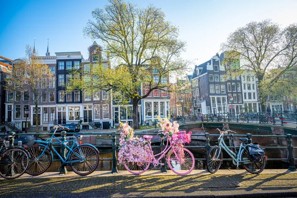 Amsterdam, Hollanda 'da çiçeklerle süslenmiş bisikletler. Eğlen