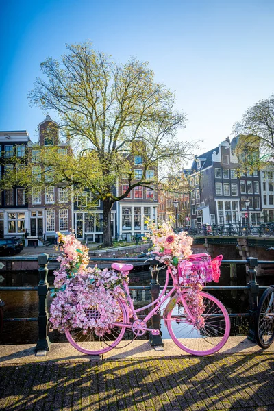 Велосипеды Украшены Цветами Амстердаме Нидерланды Амсте — стоковое фото