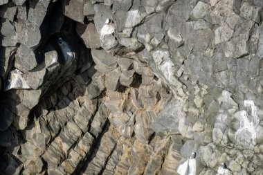 İzlanda 'dan gelen doğal doku, renk ve şekle yakın çekim. Çok güzel.