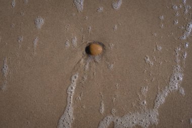 İzlanda 'dan gelen doğal doku, renk ve şekle yakın çekim. Arkaplan için güzel soyut ve sanatsal doğa.