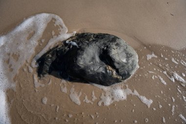İzlanda 'dan gelen doğal doku, renk ve şekle yakın çekim. Arkaplan için güzel soyut ve sanatsal doğa.