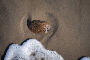 İzlanda 'dan gelen doğal doku, renk ve şekle yakın çekim. Arkaplan için güzel soyut ve sanatsal doğa.