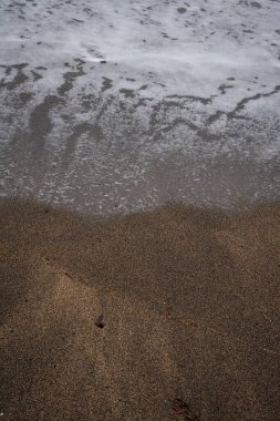 İzlanda 'dan gelen doğal doku, renk ve şekle yakın çekim. Arkaplan için güzel soyut ve sanatsal doğa.