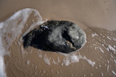İzlanda 'dan gelen doğal doku, renk ve şekle yakın çekim. Arkaplan için güzel soyut ve sanatsal doğa.