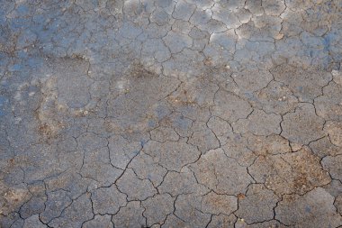 İzlanda 'dan gelen doğal doku, renk ve şekle yakın çekim. Arkaplan için güzel soyut ve sanatsal doğa.