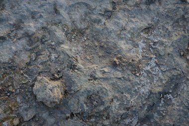 İzlanda 'dan gelen doğal doku, renk ve şekle yakın çekim. Arkaplan için güzel soyut ve sanatsal doğa.