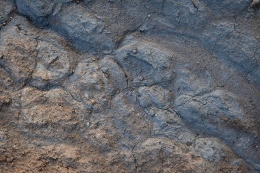 İzlanda 'dan gelen doğal doku, renk ve şekle yakın çekim. Arkaplan için güzel soyut ve sanatsal doğa.